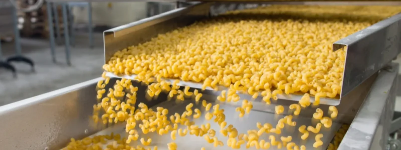 food safety food safety